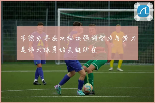 韦德分享成功秘诀强调智力与努力是伟大球员的关键所在