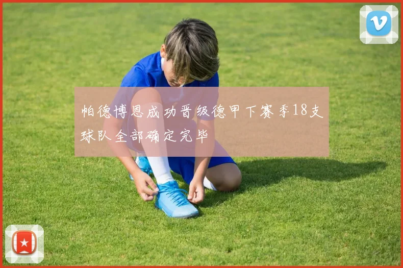 帕德博恩成功晋级德甲下赛季18支球队全部确定完毕